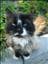 catcat69